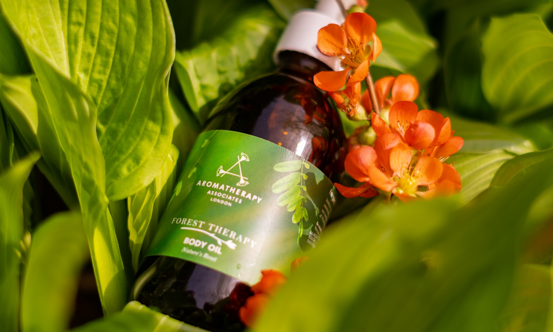 OŠETŘENÍ ZNAČKOU AROMATERAPIE ASSOCIATES