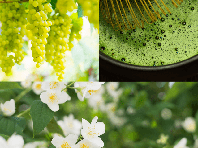 Sezonowa oferta specjalna