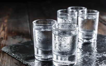 WÓDKA