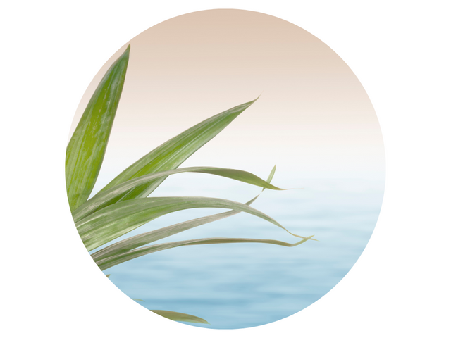 Additional information