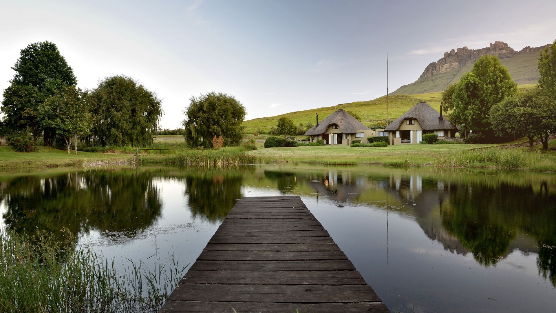 DIRECTORY OF SERVICES