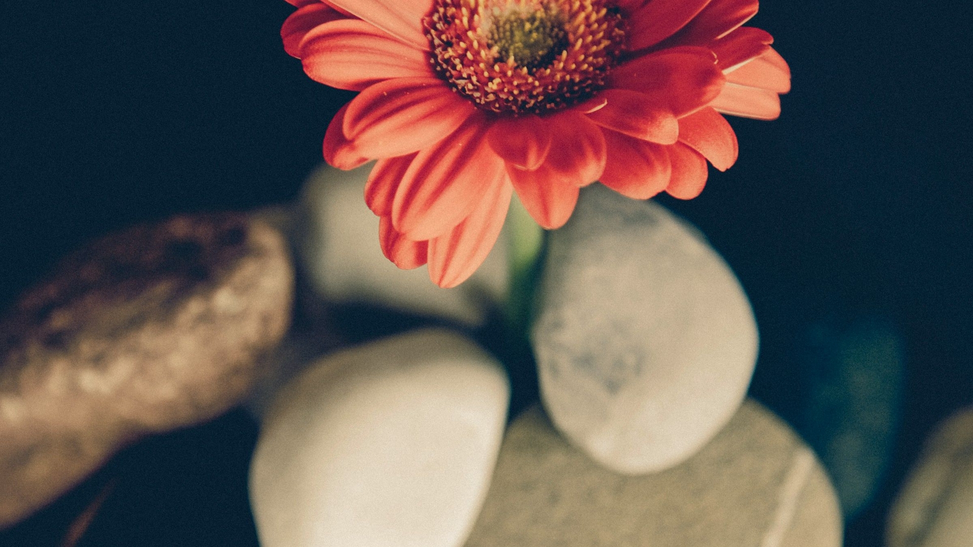 TREATMENTS FOR MEN COMFORT ZONE