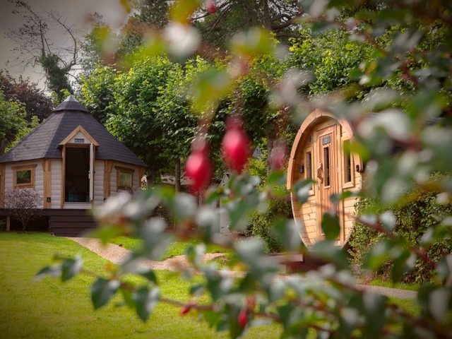 Wellness Day Visitors