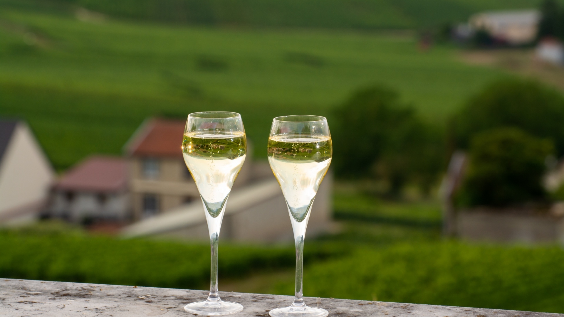 Szampany i wina musujące