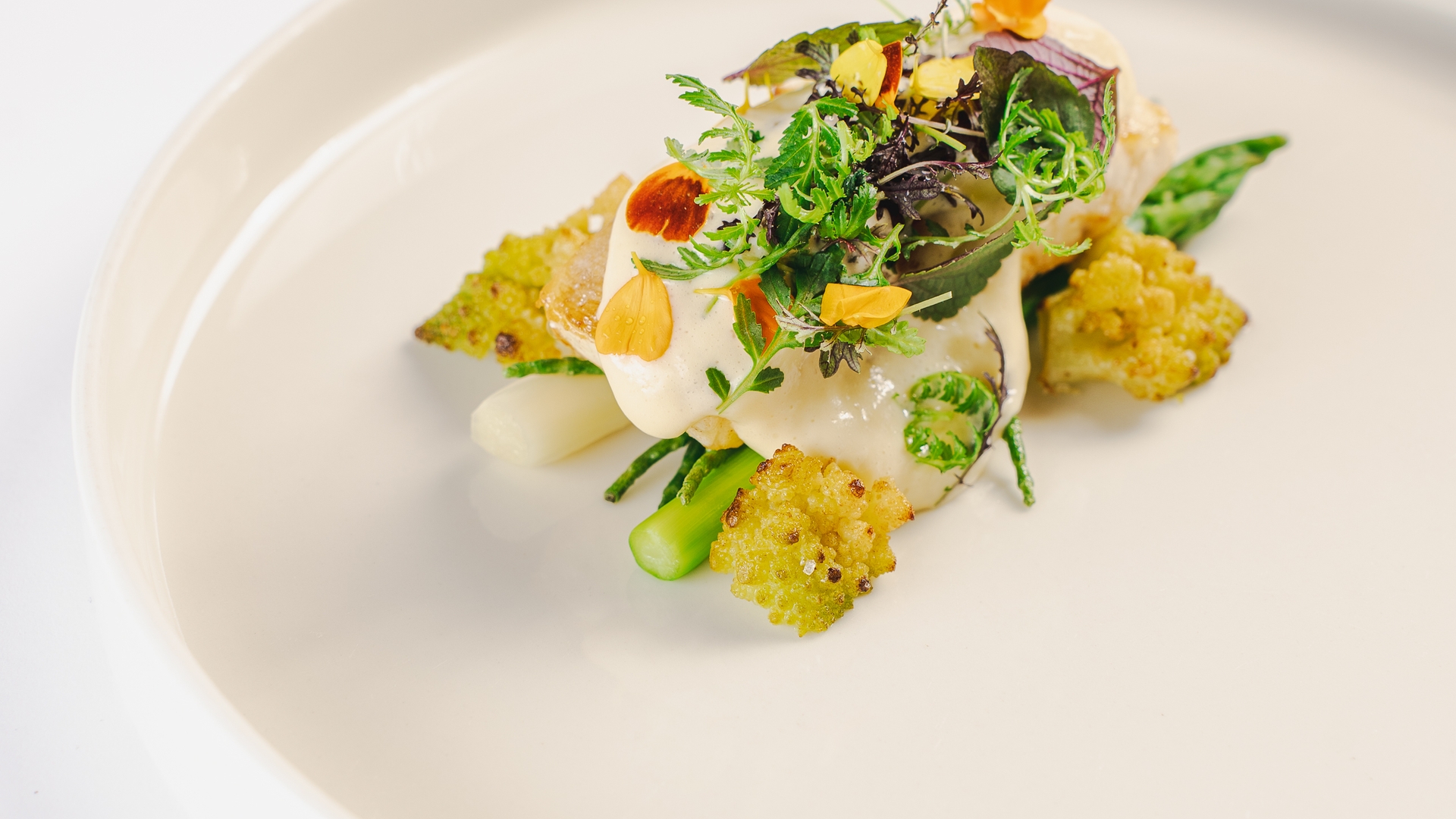 Additional information