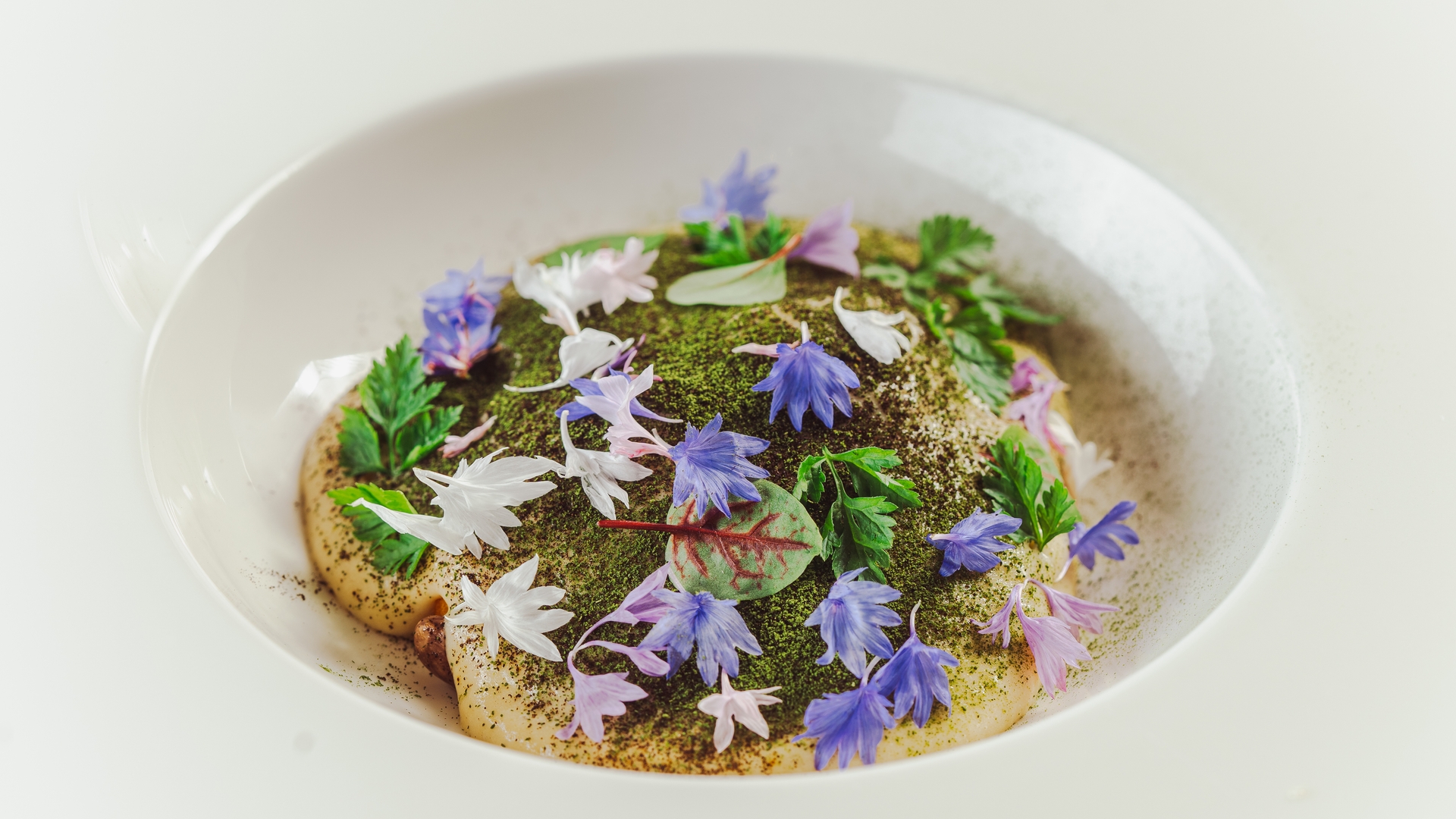 6 course tasting menu