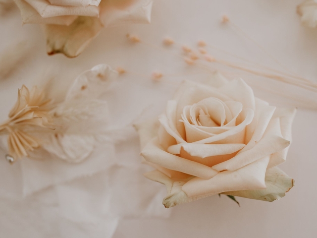 Mesoestetic Facial Care