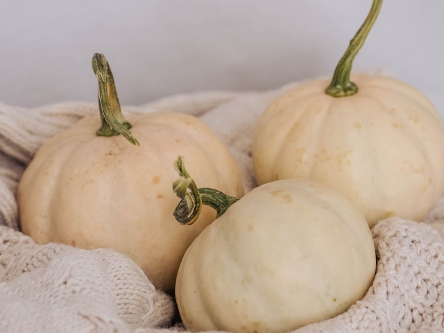 Therapeutic DermaQuest Treatments