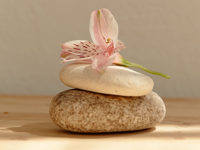 Specialized Body Treatment