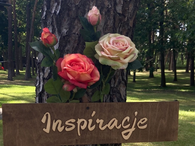 Filmowe SPA - zabiegi inspirowane kinem letnim Columna Medica